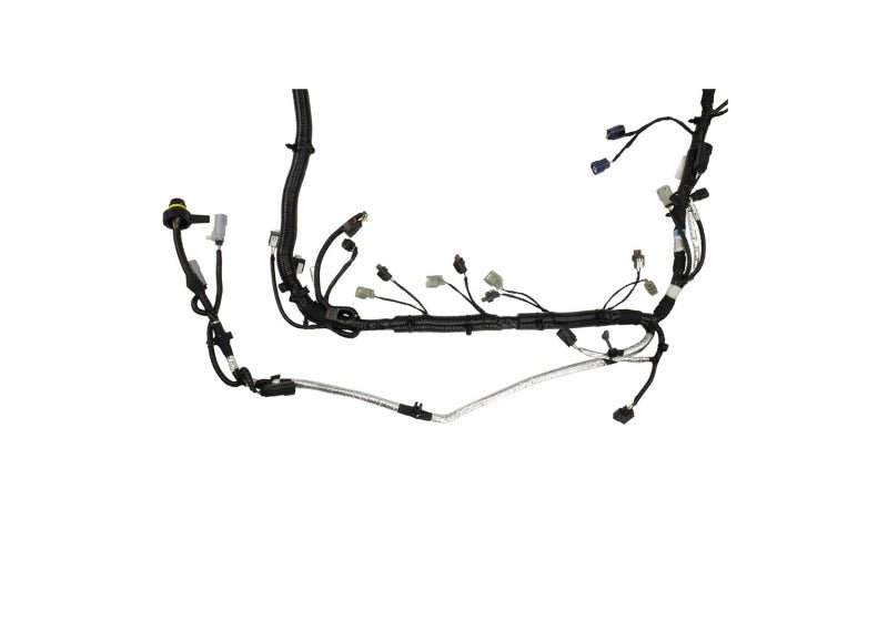 Ford Racing 5.0L Coyote Engine Harness for Automatic Transmission-Wiring Harnesses-Ford Racing