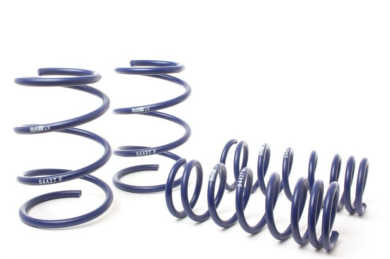 H&R 10-19 Subaru Legacy 2.5GT Limited/2.5GT Premium/2.5i Limited/2.5i Premium BM Sport Spring-Lowering Springs-H&R