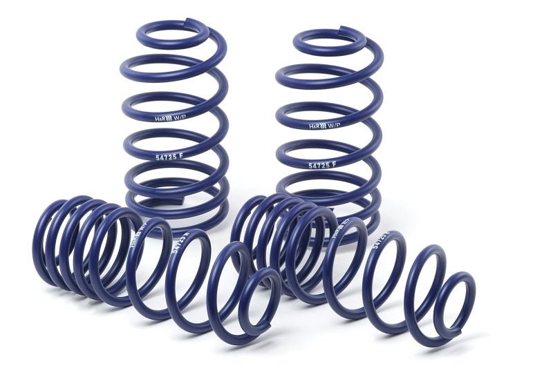 H&R 66-76 BMW 2002 E10 Sport Spring-Lowering Springs-H&R