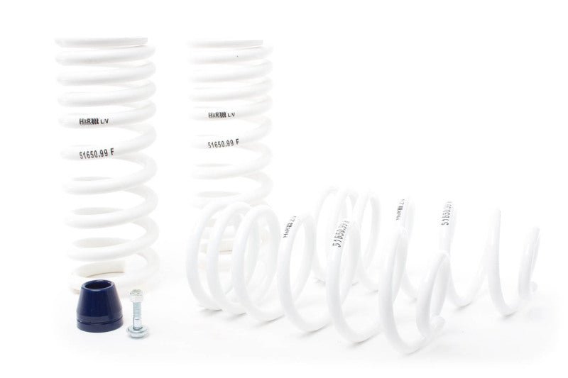 H&R 94-95 Ford Mustang/Mustang Cobra V8 Super Race Spring-Lowering Springs-H&R