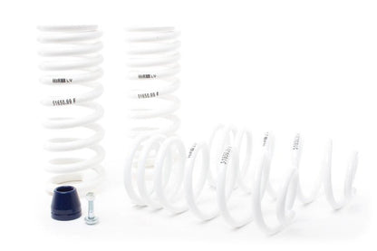 H&R 94-95 Ford Mustang/Mustang Cobra V8 Super Race Spring-Lowering Springs-H&R