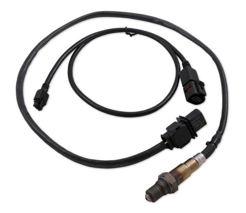 Innovate LSU4.9 Upgrade Kit - 3ft Sensor Cable and O2 Sensor-Oxygen Sensors-Innovate Motorsports