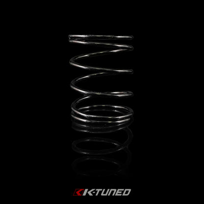 Shift Selector Spring