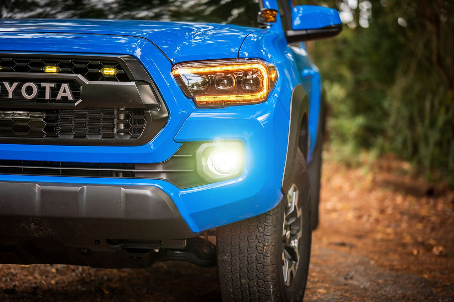Morimoto 4Banger Fog Light Kit: 16 - 23 Tacoma - Fog Lights - Morimoto