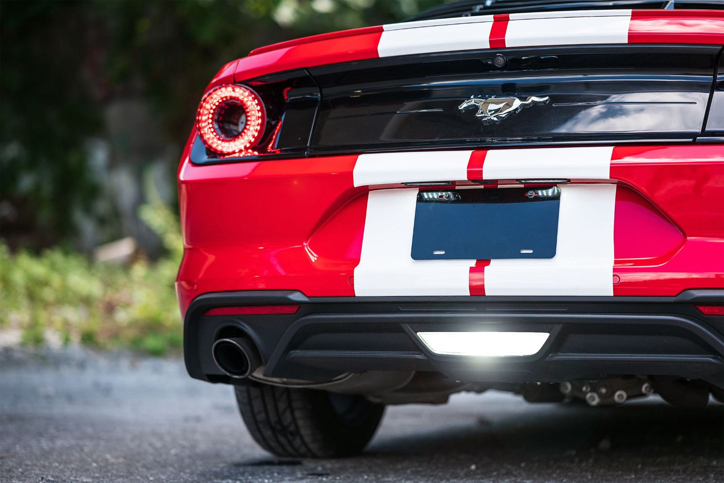 Morimoto XB License Plate Lights: Ford Mustang (15 - 20 / Pair) - License Plate - Morimoto