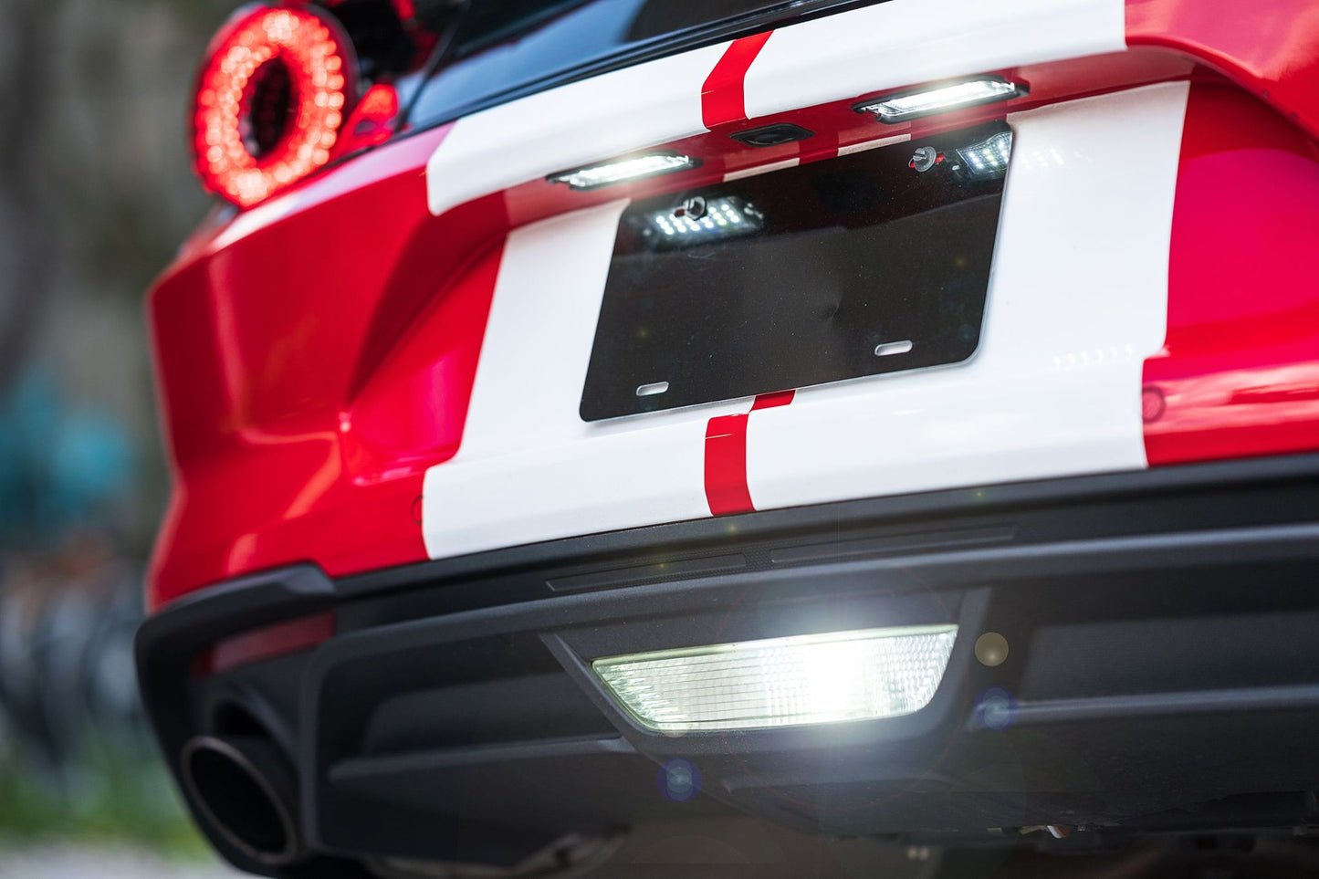 Morimoto XB License Plate Lights: Ford Mustang (15 - 20 / Pair) - License Plate - Morimoto