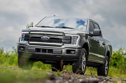 Morimoto XBG LED Grille: Ford F150 (18-20) (Paintable-Black / White DRL)