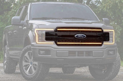 Morimoto XBG LED Grille: Ford F150 (18-20) (Paintable-Black / White DRL)