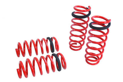 11-16 BMW 5 Series RWD Megan Racing Lowering Springs