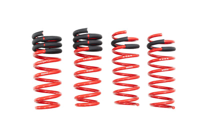 19 UP BMW 8 Series Megan Racing Lowering Springs RWD & AWD