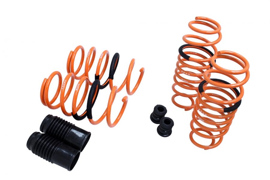 13-UP Dodge Dart Megan Racing Lowering Springs