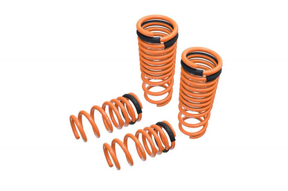08-UP Nissan GTR Megan Racing Lowering Springs