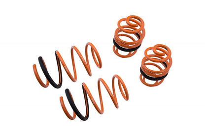 13-19 Nissan Sentra Megan Racing Lowering Springs
