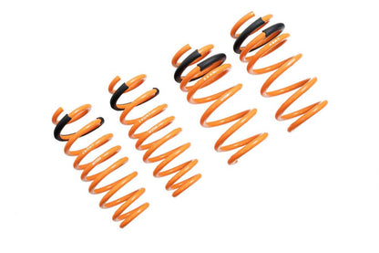 17-UP Tesla Model 3 RWD Megan Racing Lowering Springs