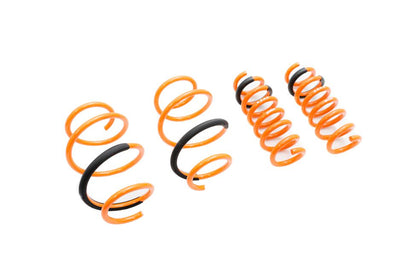 20-UP Toyota Supra Megan Racing Lowering Springs