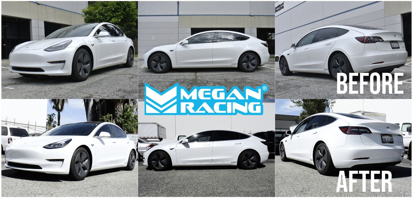 17+ Tesla Model 3 AWD Megan Racing Lowering Springs