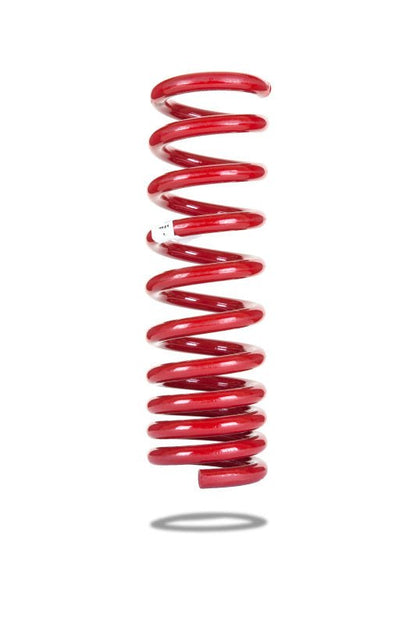 Pedders 05-2012 Chrysler LX Heavy Duty Rear Coil Spring-Lowering Springs-Pedders