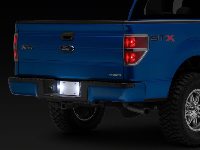 Raxiom 97-14 Ford F150 Axial Series LED License Plate Lamps-Light Mounts-Raxiom