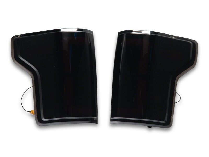 Raxiom15-20 Ford F-150 LDS Series LED Tail Lights- Black Housing- Clear Lens-Tail Lights-Raxiom