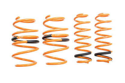 19-UP Toyota Rav4 Megan Racing Lowering Springs