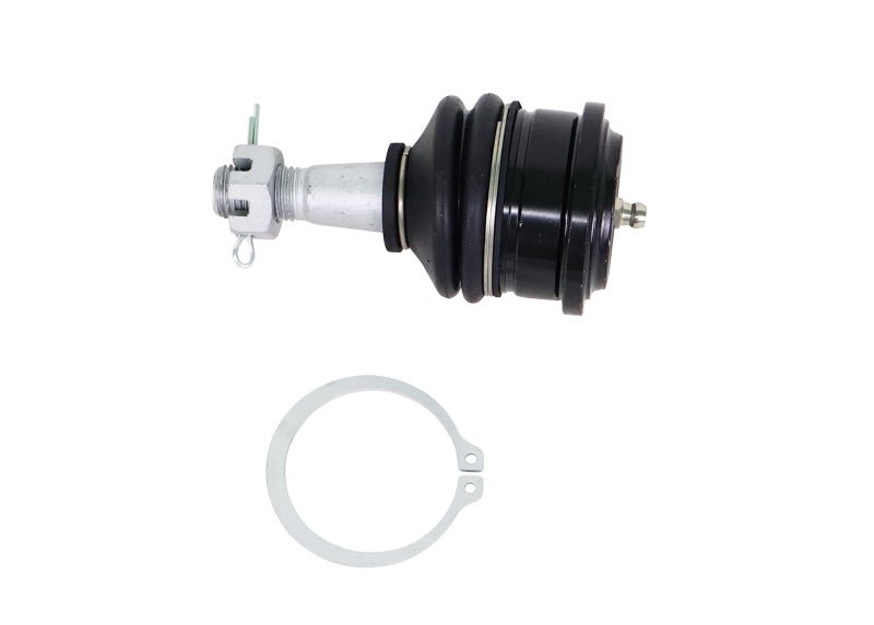 Whiteline 05 - 21 Nissan Frontier Fixed Offset UCA Replacement Ball Joint Kit - Ball Joints - Whiteline