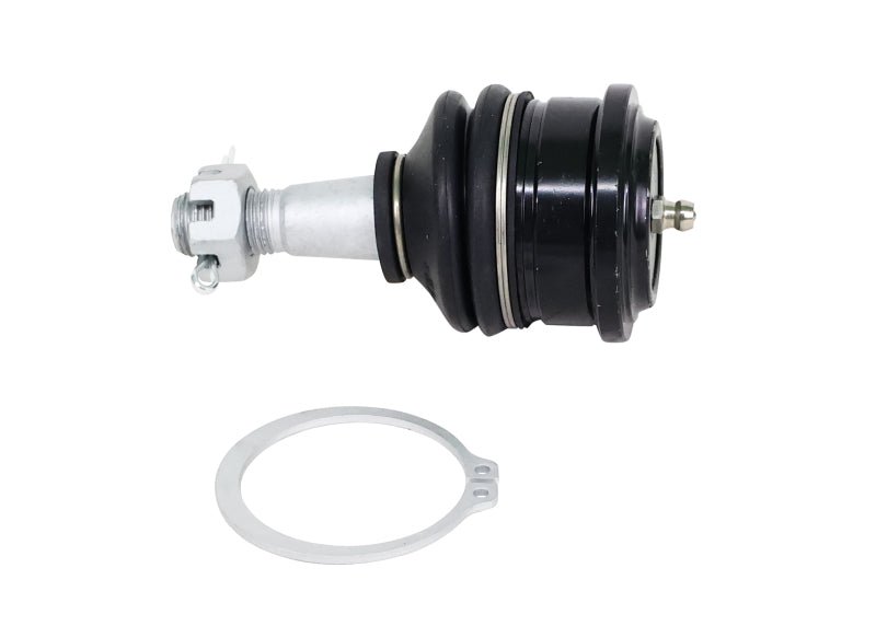 Whiteline 05 - 21 Nissan Frontier Fixed Offset UCA Replacement Ball Joint Kit - Ball Joints - Whiteline