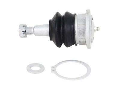 Whiteline 06 - 22 Ford Expedition Fixed Offset UCA Replacement Ball Joint Kit - Ball Joints - Whiteline