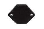 PW IAC Block Off Plate / Idle Air Control Delete for Ford